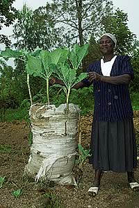 kenyan village woman